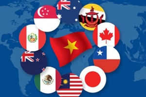 Thủ tướng phê duyệt Kế hoạch thực hiện Hiệp định CPTPP