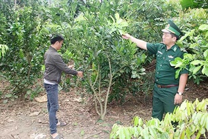 Những chiến sỹ quân hàm xanh về cơ sở