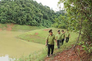 Quỳnh Nhai khoanh nuôi, bảo vệ hơn 40 nghìn ha rừng