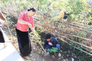 Hưởng ứng "Tết trồng cây đời đời nhớ ơn Bác Hồ"