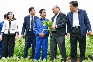 Nông nghiệp là lĩnh vực không thể thiếu được trong sự phát triển đất nước