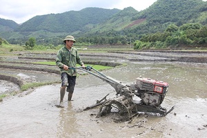 Sông Mã tập trung sản xuất vụ xuân