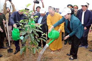 Đẩy mạnh tuyên truyền lợi ích, giá trị nhân văn việc trồng cây, trồng rừng