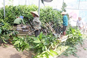 Mai Sơn: Hỗ trợ hơn 2 tỷ đồng cho hợp tác xã  theo các chính sách của tỉnh