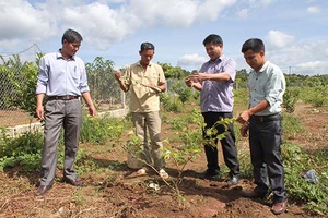 Khoa học và Công nghệ phục vụ đắc lực phát triển KT-XH