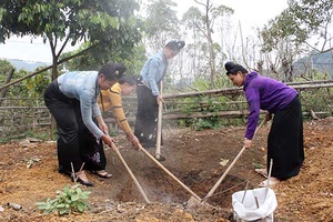 Hội LHPN Thành phố: Ra quân đào hố rác tại  gia đình 