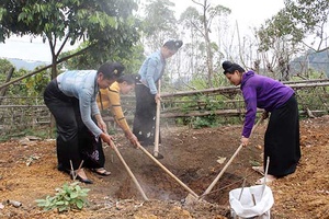 Hội LHPN Thành phố: Ra quân đào hố rác tại gia đình