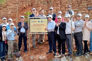 Ban Quản lý các dự án lâm nghiệp Trung ương phát động trồng cây năm 2019 tại huyện Mộc Châu