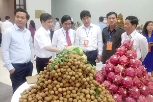 HTX sản xuất, kinh doanh nông nghiệp tiêu biểu