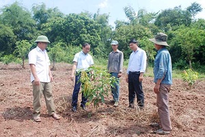 Yên Châu: Tập huấn tự nguyện theo mùa vụ cho 1.282 lượt người