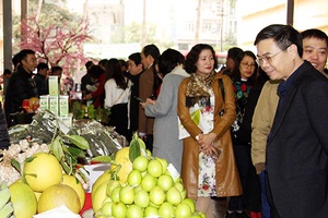 Sản xuất nông nghiệp hữu cơ - hướng đi bền vững cho nông nghiệp Sơn La