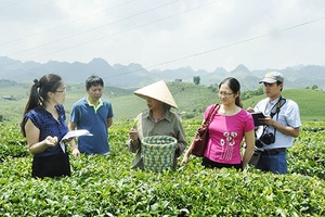 Đánh giá phát triển cây trồng, vật nuôi trên cao nguyên Mộc Châu