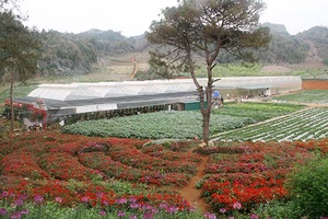 Nơi khởi nghiệp của những mô hình sản xuất gắn với du lịch