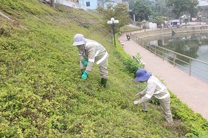 Chung tay xây dựng môi trường sáng, xanh, sạch, đẹp