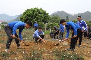 Đoàn Khối các cơ quan tỉnh: Lễ Khởi động Tháng thanh niên năm 2019