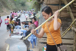 Mía ngọt Tường Phù