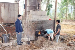 Liên kết thành lập HTX - giúp nông dân làm ăn hiệu quả