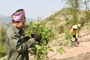 Hỗ trợ đời sống người dân vùng đệm rừng đặc dụng