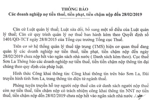 Thông báo: Các doanh nghiệp nợ tiền thuế, tiền phạt, tiền chậm nộp đến 28/2/2019