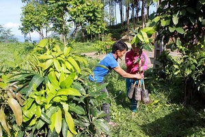 Bắc Yên quan tâm chăm lo đời sống đồng bào dân tộc thiểu số