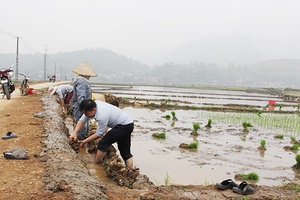 Phù Yên đảm bảo nguồn nước phục vụ sản xuất