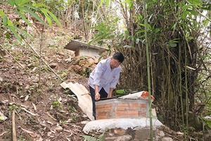 Làm giàu từ nuôi ong rừng lấy mật