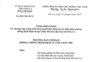 Công điện khẩn: Về việc tập trung triển khai quyết liệt, đồng bộ các biện pháp phòng, chống bệnh dịch tả lợn châu Phi