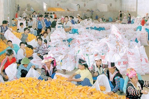 Vai trò Công đoàn ở Công ty cổ phần Nông nghiệp Chiềng Sung