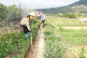 Sông Mã: Sửa chữa, nạo vét hơn 317 km kênh mương, thủy lợi