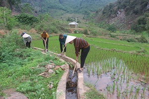 Xuân Nha phát huy hiệu quả các công trình thủy lợi phục vụ sản xuất nông nghiệp