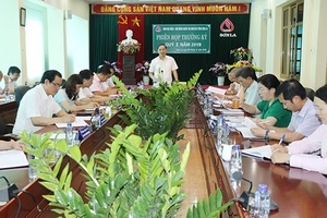 Ban Đại diện - Hội đồng quản trị NHCSXH tỉnh: Phiên họp thường kỳ quý I năm 2019