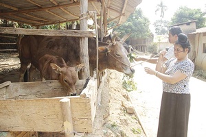 Bản Đông 10 năm không có ma túy