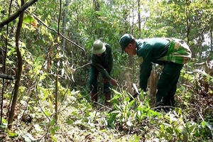 Tăng cường công tác PCCCR mùa nắng nóng