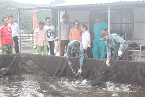 Mường La xây dựng và giữ vững thương hiệu cá lòng hồ