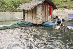Hỗ trợ vốn giúp nông dân thoát nghèo