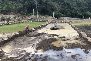 Chủ động phòng, chống thiên tai và tìm kiếm cứu nạn