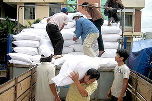Xuất gạo dự trữ quốc gia cho tỉnh Quảng Bình