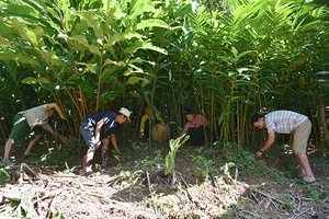 Sốp Cộp tập trung triển khai nhiều dự án giảm nghèo