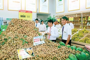 Phát triển nông nghiệp theo hướng tập trung, bền vững