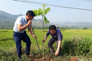 Xã Chiềng Cang: Trồng trên 100 cây xanh nhân dịp kỷ niệm 129 năm Ngày sinh Chủ tịch Hồ Chí Minh