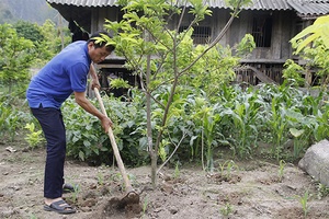 Hội Nông dân xã Chiềng Pấc giúp hội viên phát triển kinh tế