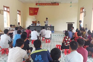 Thuận Châu: Trên 200 ha ngô bị sâu keo gây hại