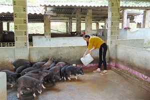 Tà Lại phát triển kinh tế