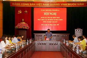 Hội nghị trực tuyến đánh giá tiến độ triển khai thực hiện các mô hình về phát triển nông nghiệp năm 2019