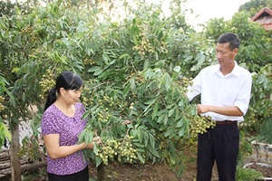 Sông Mã chú trọng nâng cao giá trị sản xuất nông nghiệp