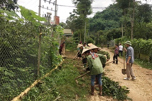 Phát huy vai trò Hội Nông dân trong xây dựng nông thôn mới