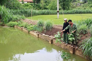 Mô hình câu lạc bộ liên thế hệ tự giúp nhau ở Mai Sơn