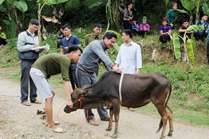 Hệ thống MTTQ các cấp: Đẩy mạnh phong trào thi đua phát triển kinh tế, xóa đói, giảm nghèo