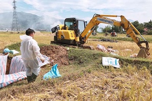 Phù Yên: Phát hiện, tiêu hủy 162 con lợn mắc bệnh dịch tả lợn châu Phi