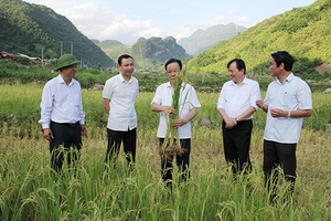 Đồng chí Bí thư tỉnh ủy, Chủ tịch HĐND tỉnh thăm, kiểm tra tại một số cơ sở của huyện Mường La